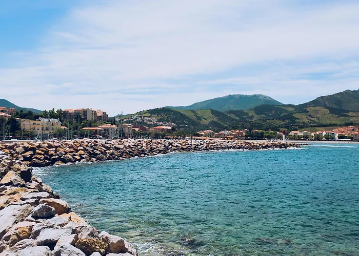 Regina's - Exklusiv Laegenhet Med Havsvy Διαμέρισμα Banyuls-sur-Mer