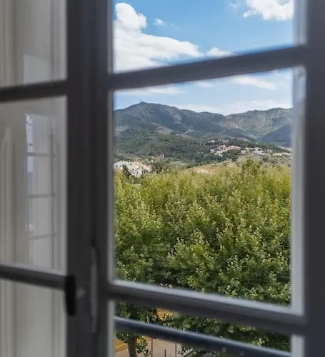 Regina's - Exklusiv Laegenhet Med Havsvy Banyuls-sur-Mer